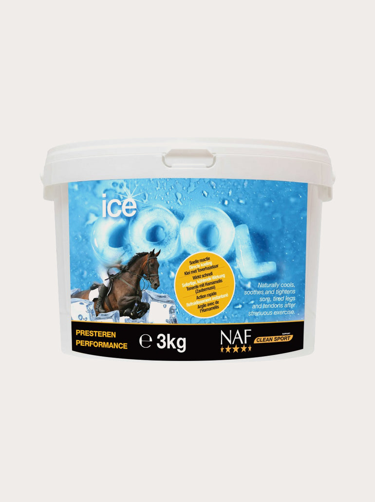 Argile refroidissante Ice Cool