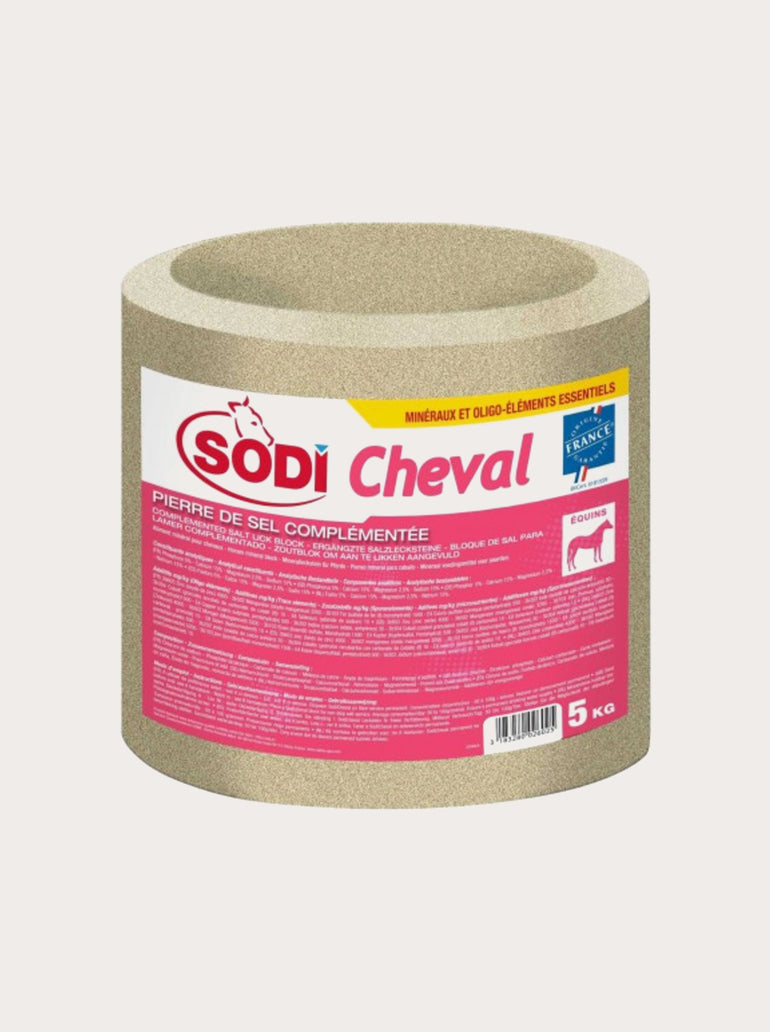 Bloc de sel complémenté