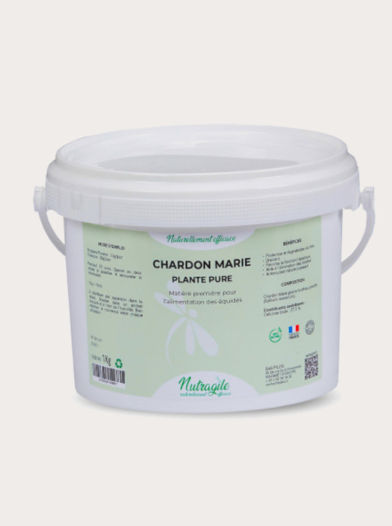Chardon Marie drainant