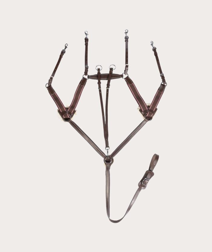 Collier de chasse 5 points doublé mouton