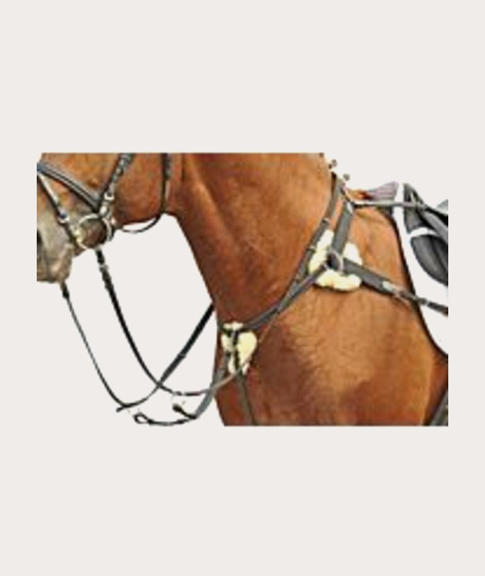 Collier de chasse 5 points doublé mouton