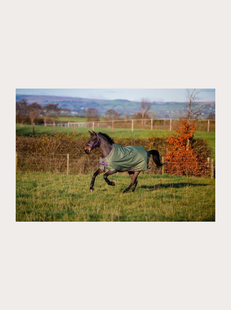 Couverture Exterieur Hero Ripstop Turnout 50g 600D