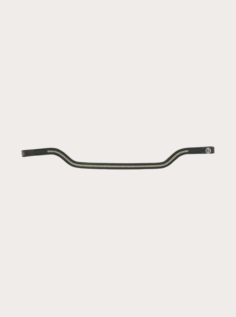 Frontal Shape