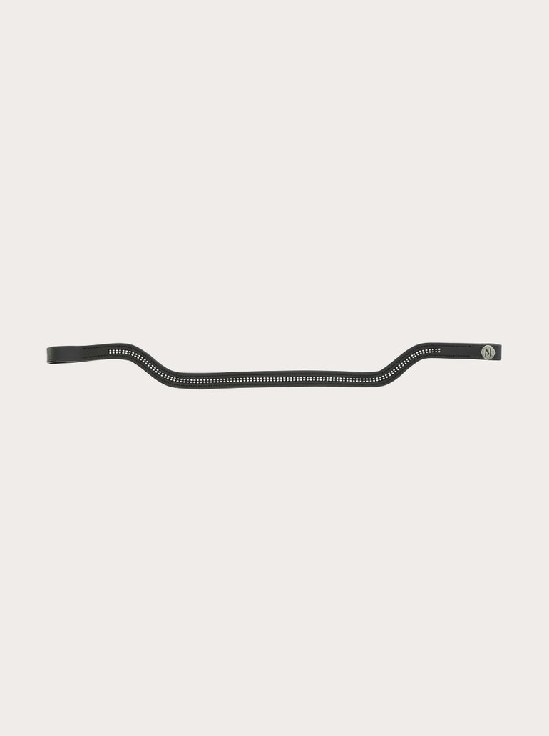 Frontal Shape
