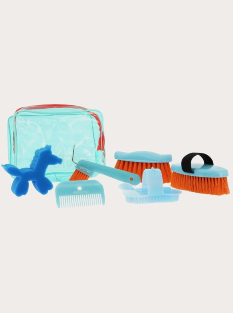 Kit de pansage