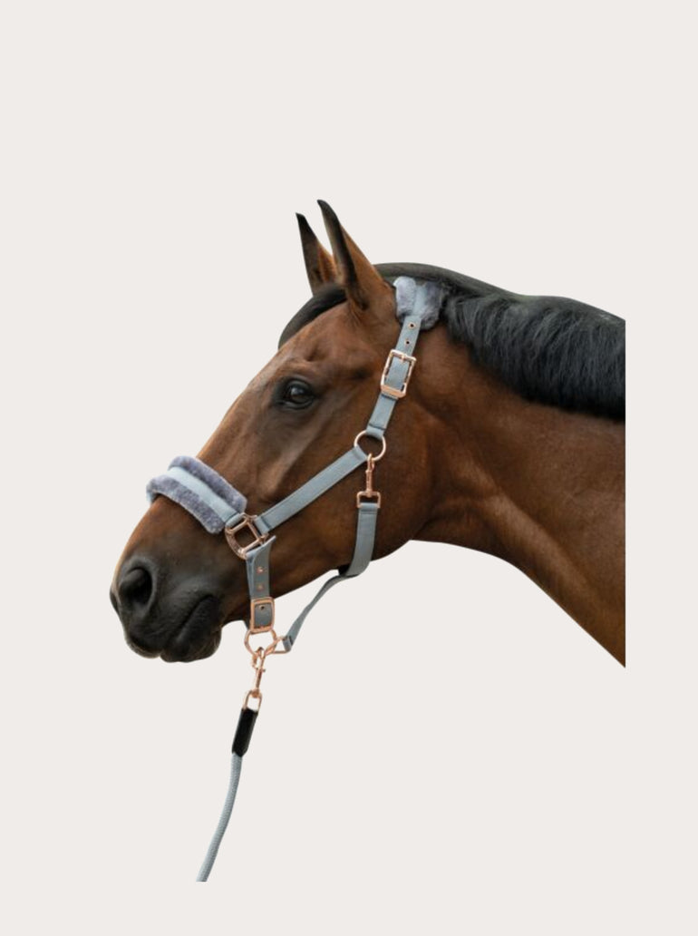 Licol rosegold Glamour Style