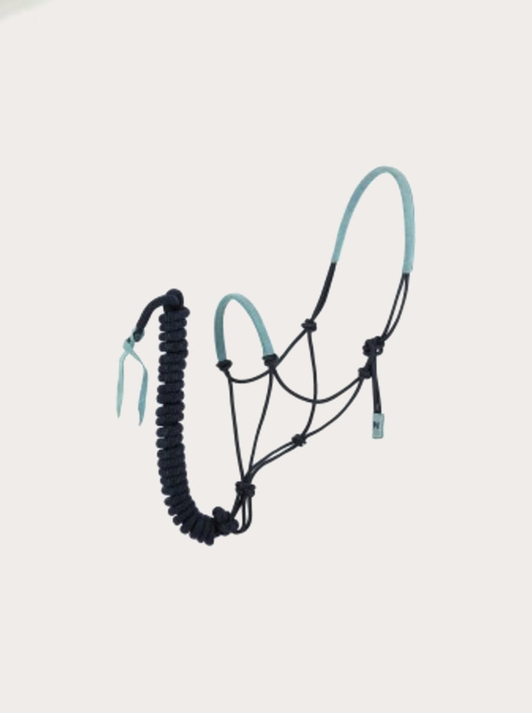 Licol éthologique+longe Suède