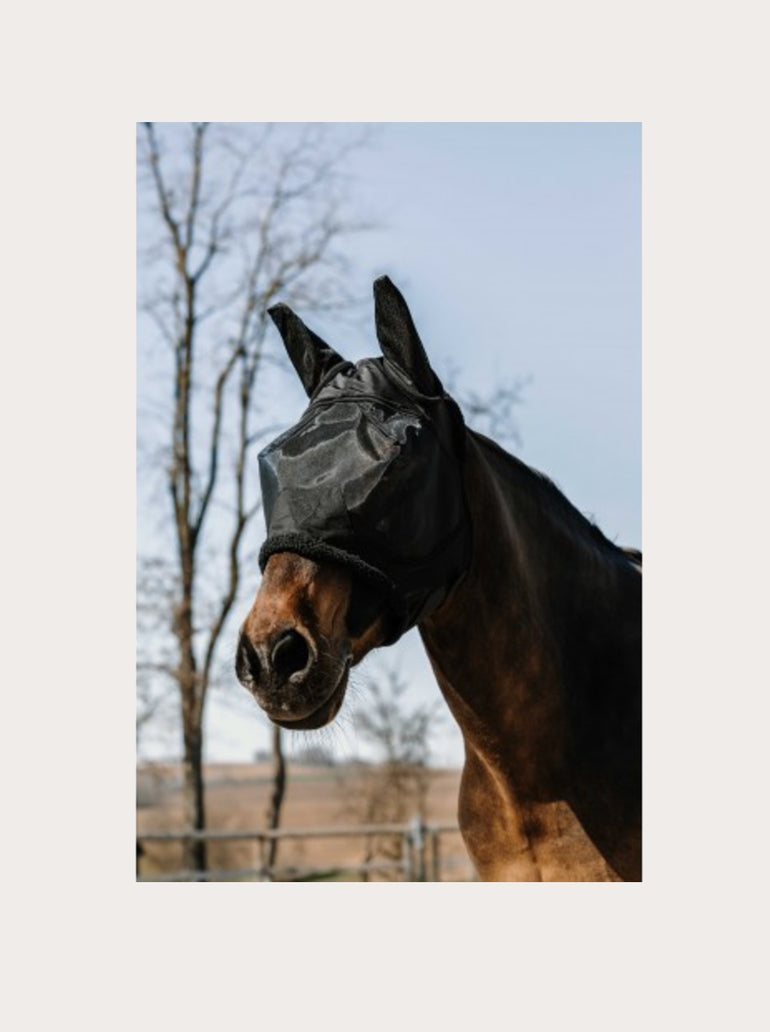 Masque anti-mouches Teddy