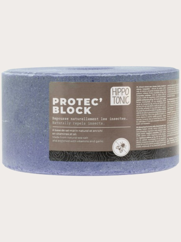 Pierre de sel Protec'Block