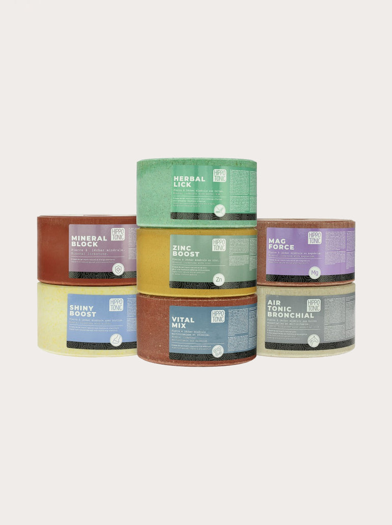 Pierre à sel Zinc Boost