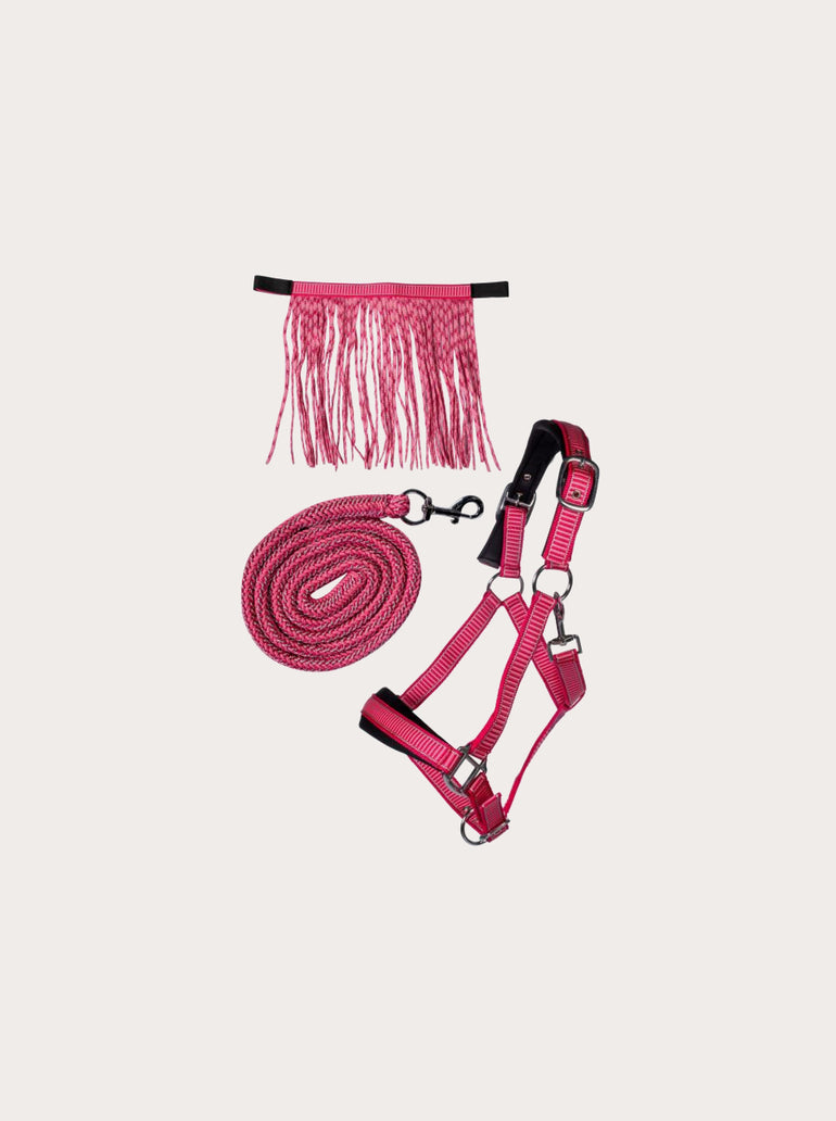 Set Licol Lilly