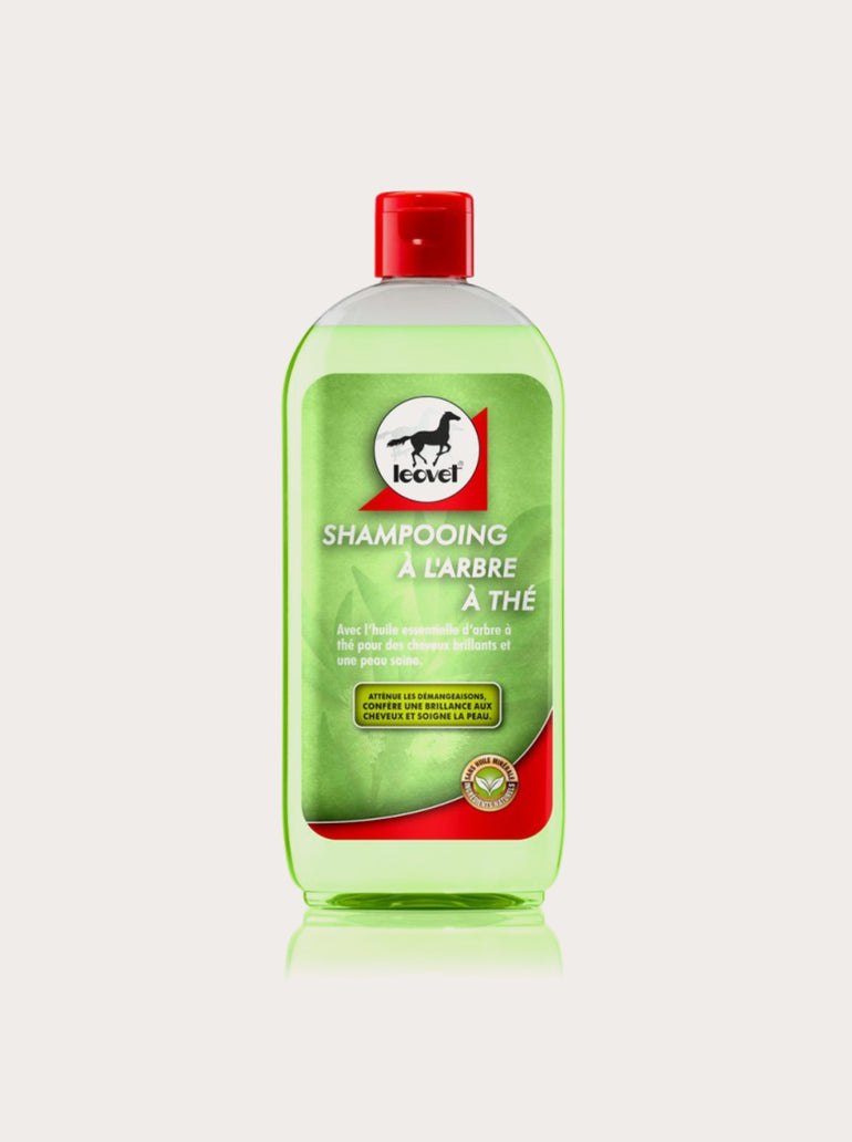 Shampoing anti démangeaisons