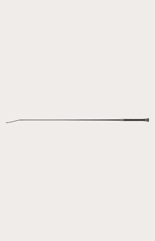 Stick de dressage Strassy