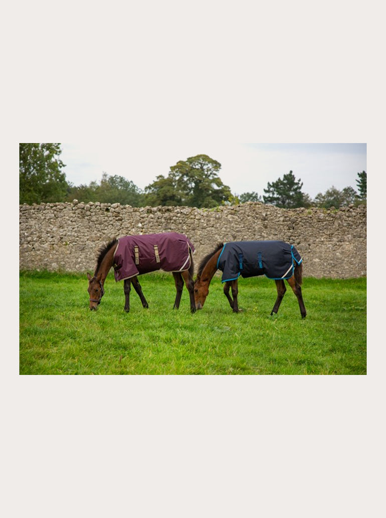 Couverture Amigo Foal Rug