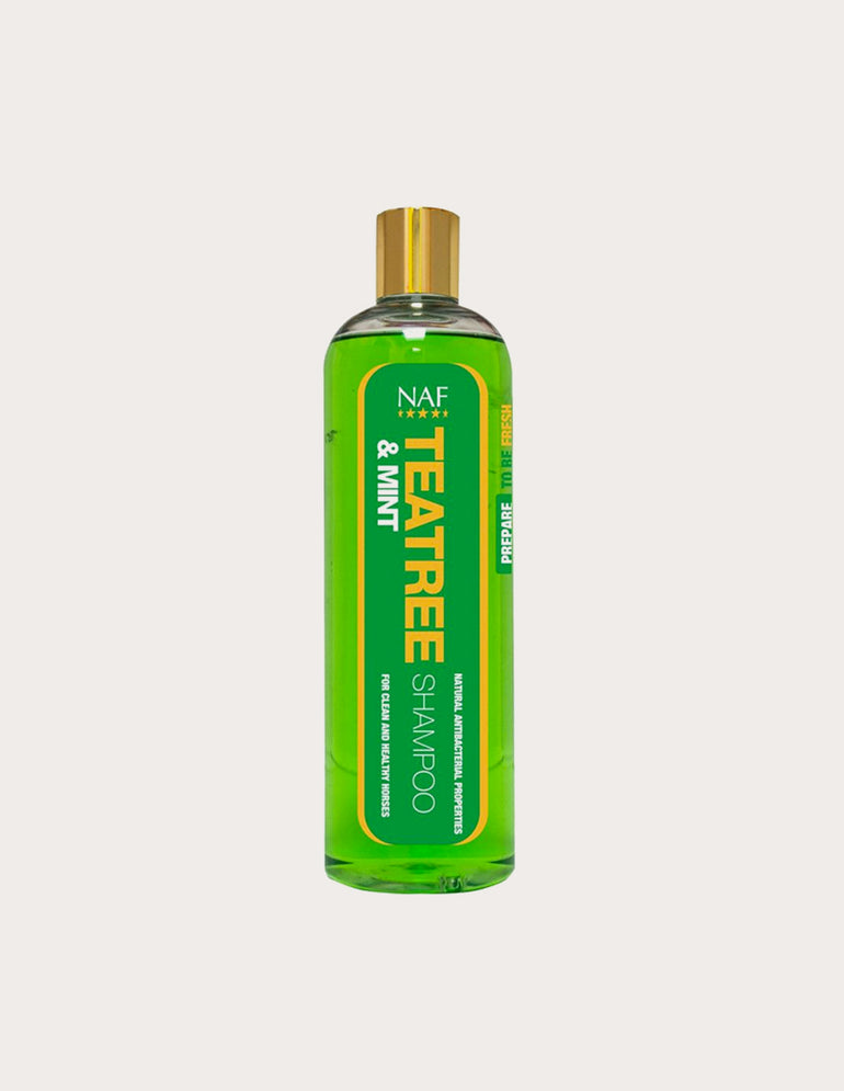 Shampoing TeaTree & Mint
